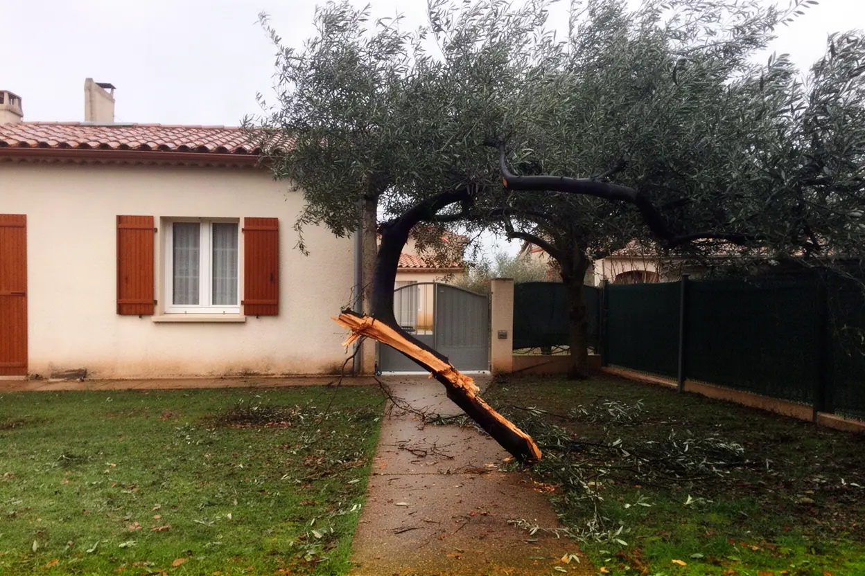 Intervention réalisée avec méthode, matériel adapté et périmètre sécurisé à Avignon.