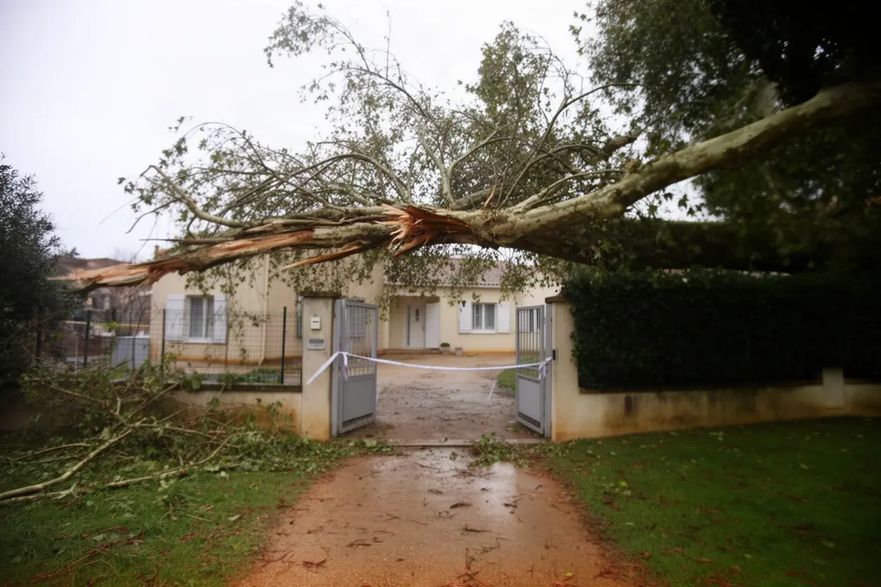 Grosse branche fendue menaçant un passage avant l'urgence