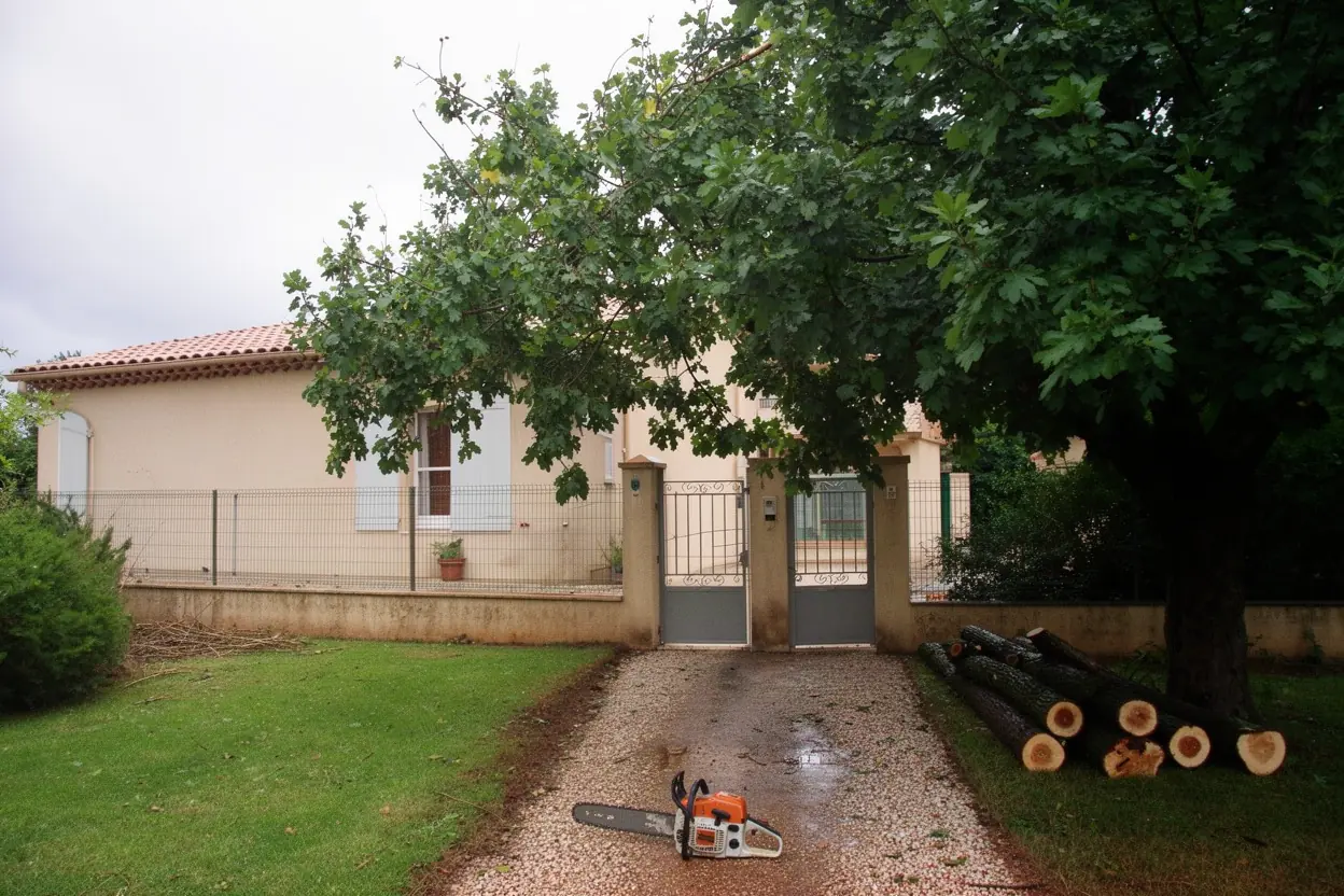 Arbre sécurisé et passage dégagé après le retrait de la branche