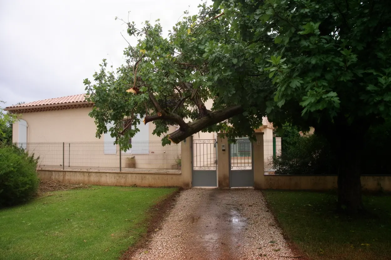Grosse branche cassée suspendue au-dessus d’une clôture