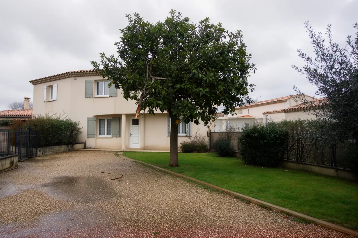 Arbre sécurisé après retrait d’une branche à Entraigues-sur-la-Sorgue