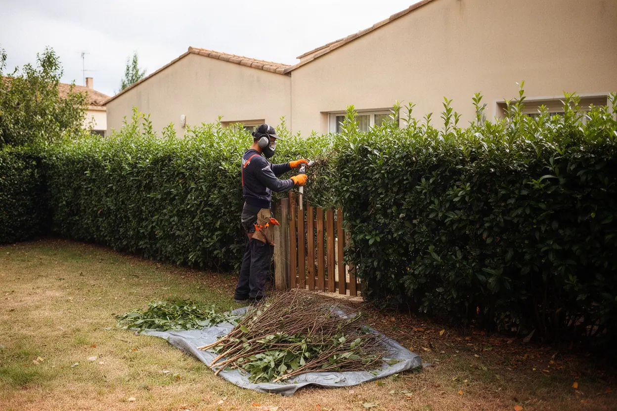 Taille de haie dans un jardin à Cavaillon