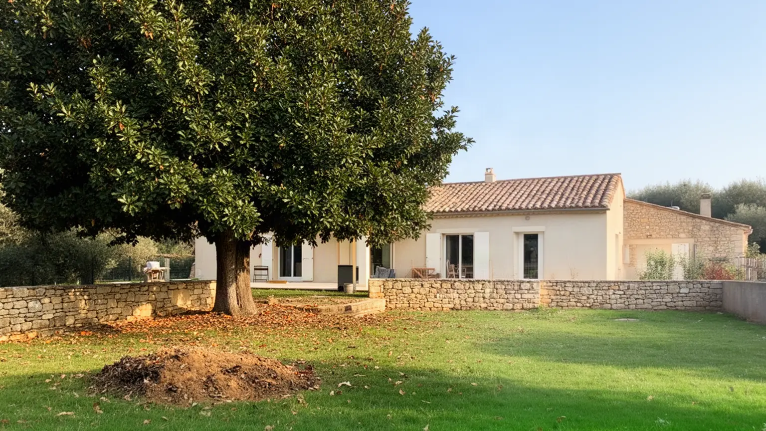 Élagueur professionnel à Avignon et alentours