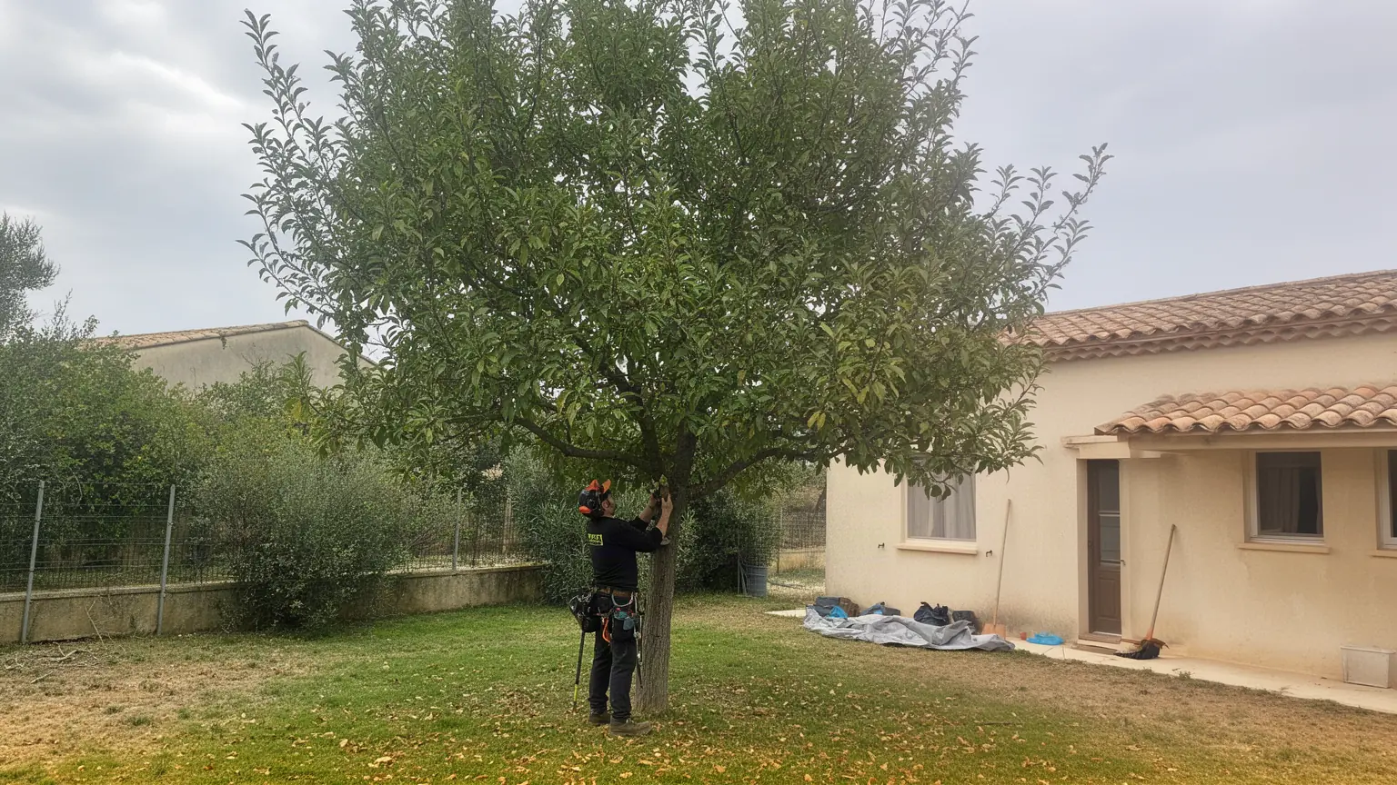 Élagueur professionnel à Rochefort-du-Gard et alentours